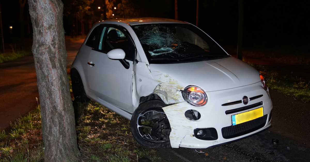 Auto botst op boom in Vught, bijrijder klapt met zijn hoofd tegen de voorruit en raakt gewond