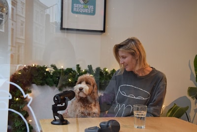 Hond Zappa heeft zijn eigen Glazen Huis in Den Bosch (en haalt geld op)