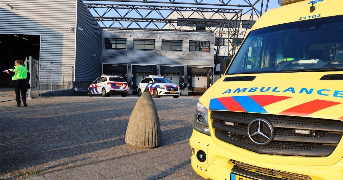 Man (62) overleden nadat hij onder lading pallets terechtkwam, bedrijf ...