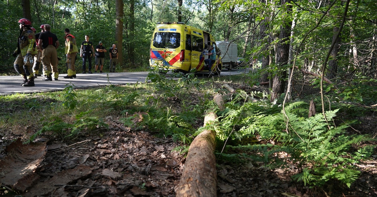 Boom valt op wielrenner (78) in Alphen, slachtoffer naar het ziekenhuis