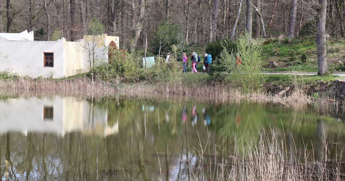 Peacewalk 2026 komt naar Arnhem