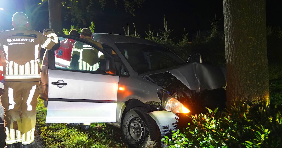 Auto raakt van de weg en botst tegen boom in Ammerzoden