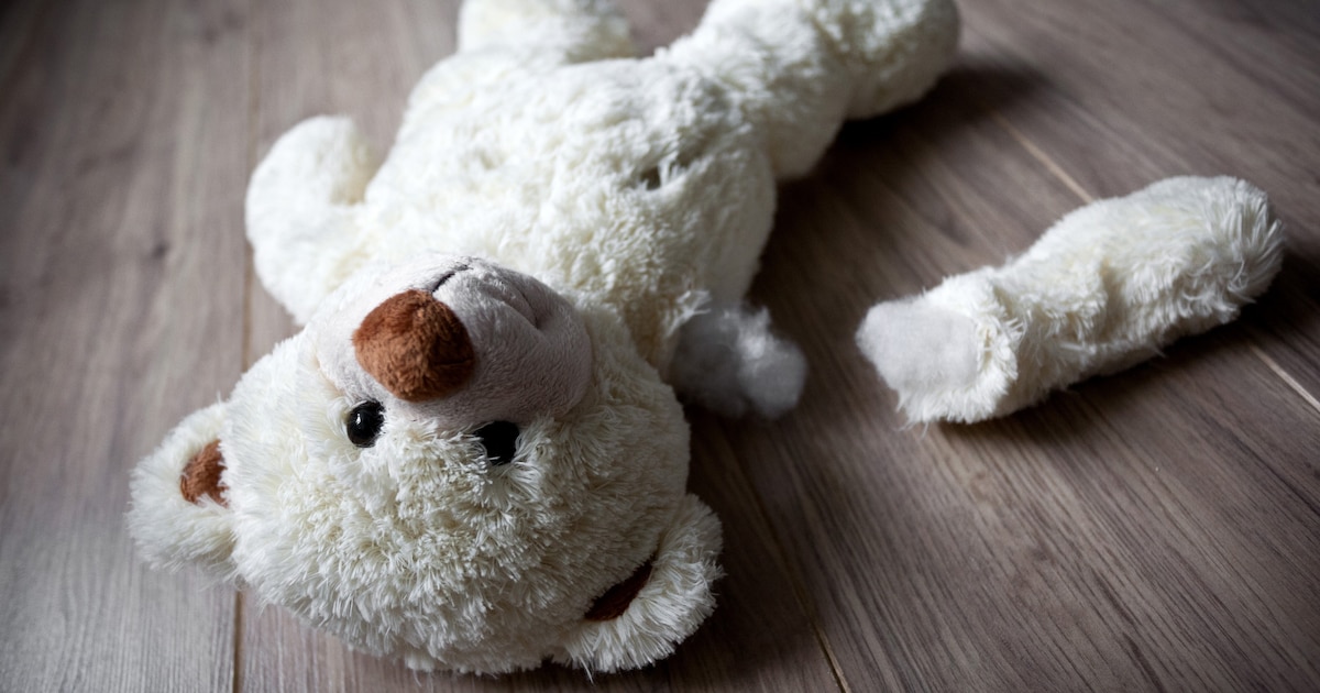 Meer meldingen van partnergeweld bij Veilig Thuis in Reusel-De Mierden