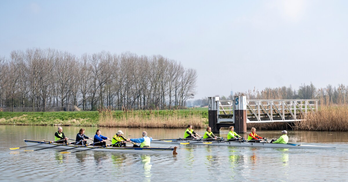 Roeivereniging Aross opent de deuren voor nieuwe roeiers: ‘Wij hebben ...