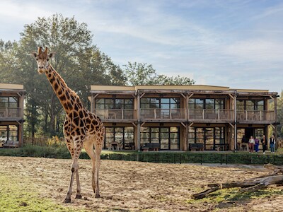 Safari Hotel Beekse Bergen