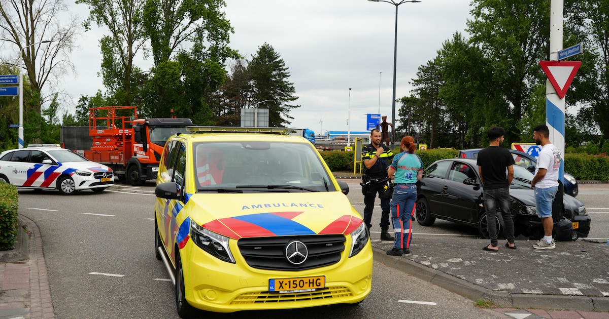 Automobilist overleden bij botsing tegen een boom.