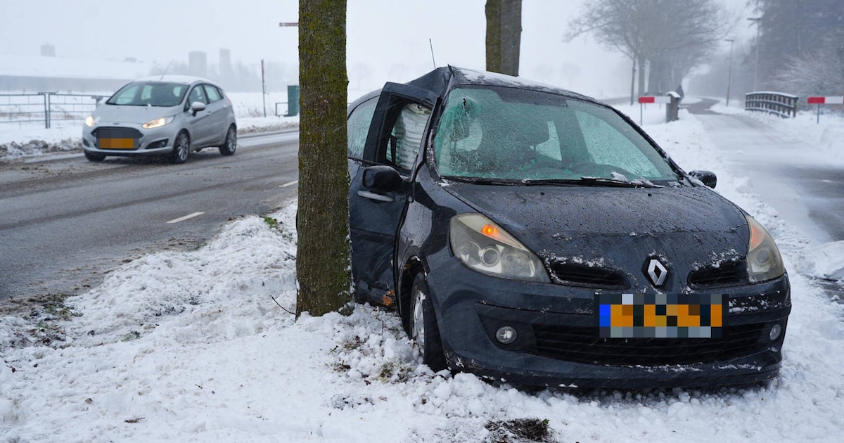 Auto raakt door gladheid van de weg en botst tegen boom in Elshout
