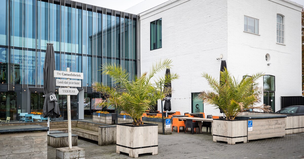 Al jaren gerommel in Cacaofabriek: ‘Volgens ons is er veel meer aan de ...