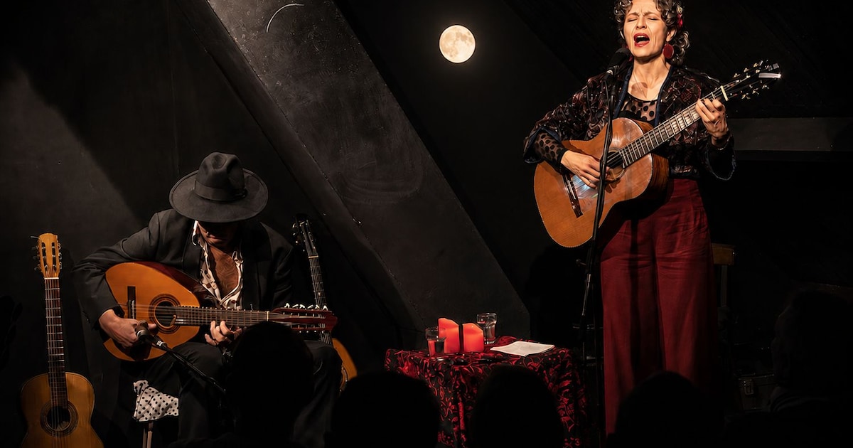 Flamenco bij volle maan in Overloon