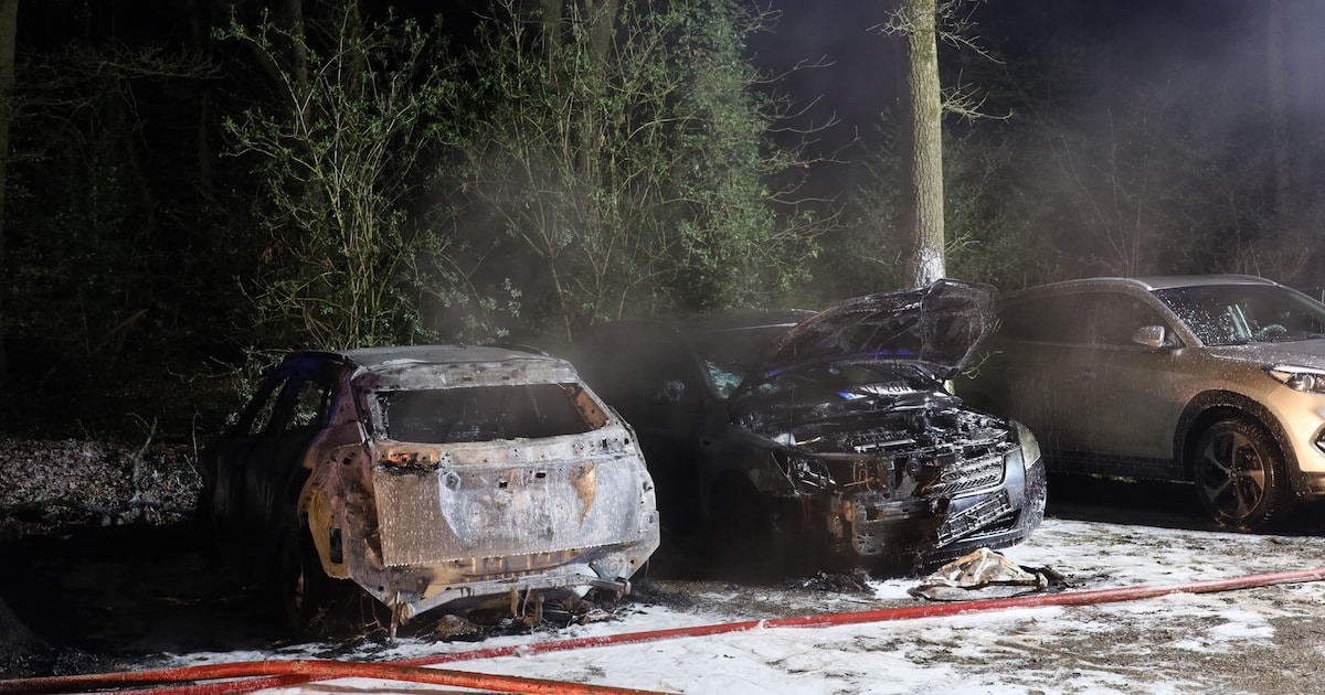 Twee auto’s in brand op parkeerplaats van camping in Schaijk, brandstichting niet uitgesloten