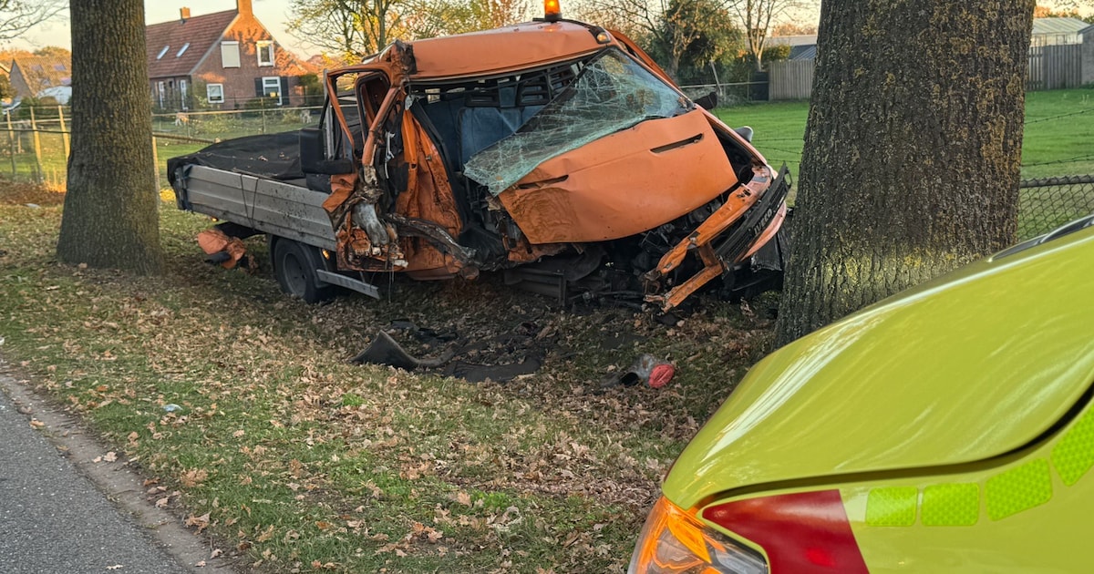 Bestelwagen botst tegen boom en gashuisje in Erp, bestuurder raakt gewond