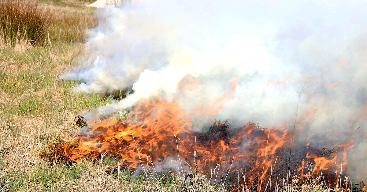 Rook trekt over woonwijk door brandend grasveld in Kaatsheuvel | Regio ...