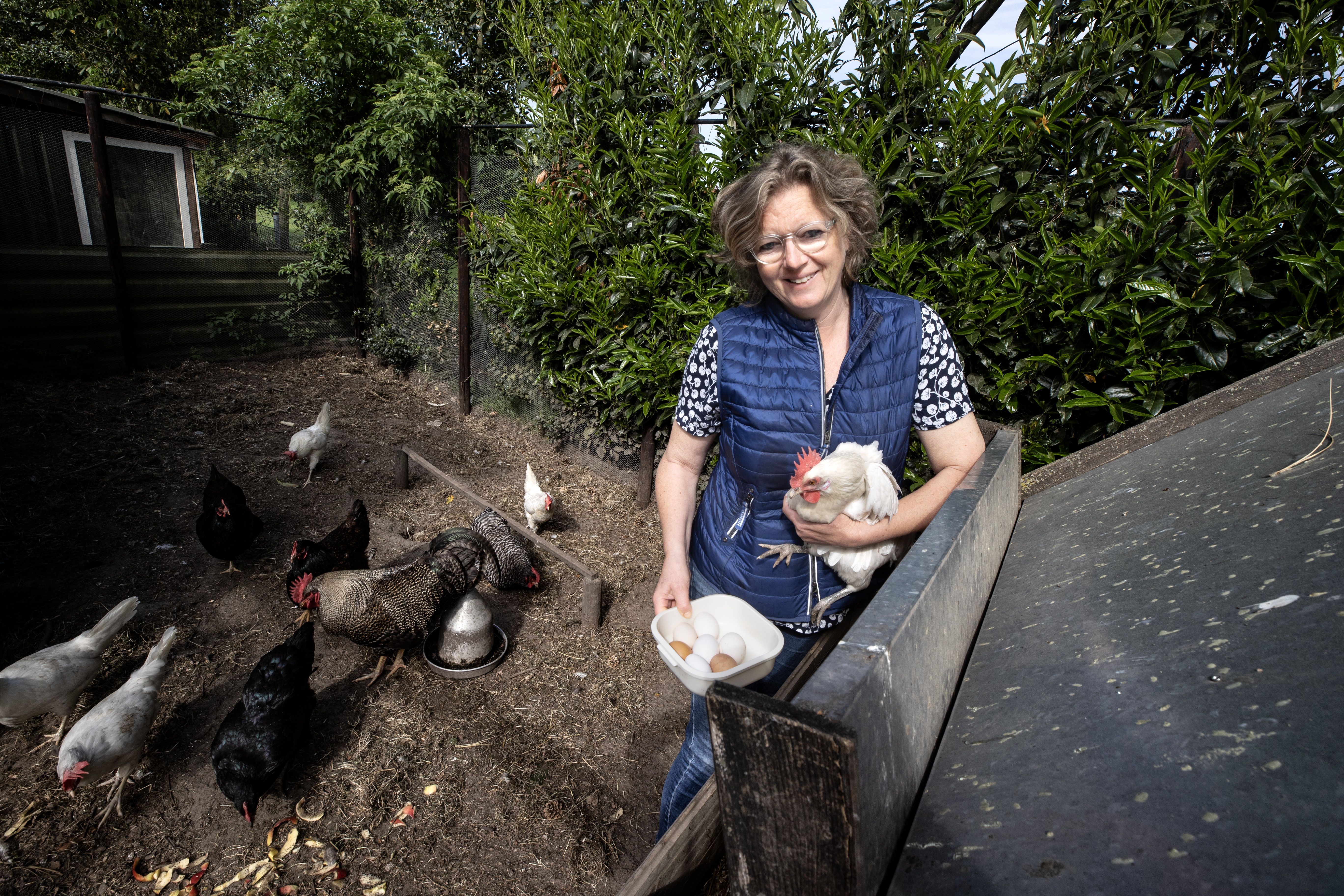 hobbykippenhouder-annemiek-van-hersel-met-de-eitjes-uit-haar-tuin