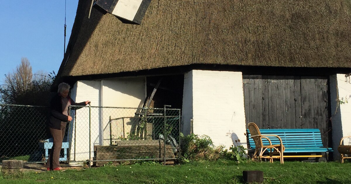 Voorzichtigheid bij 'stoere' poldermolen in Zuilichem