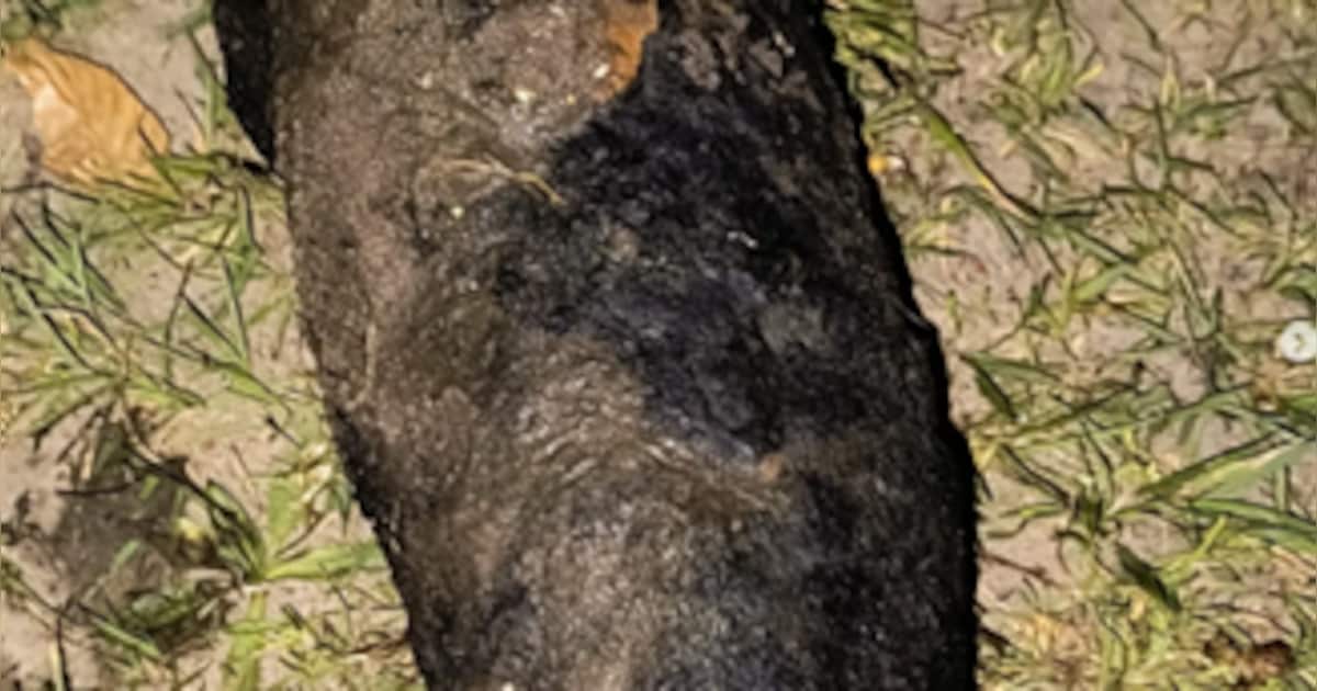 Magneetvisser haalt explosief uit water in Tilburg, Explosieven Opruimingsdienst komt ’s nachts in a