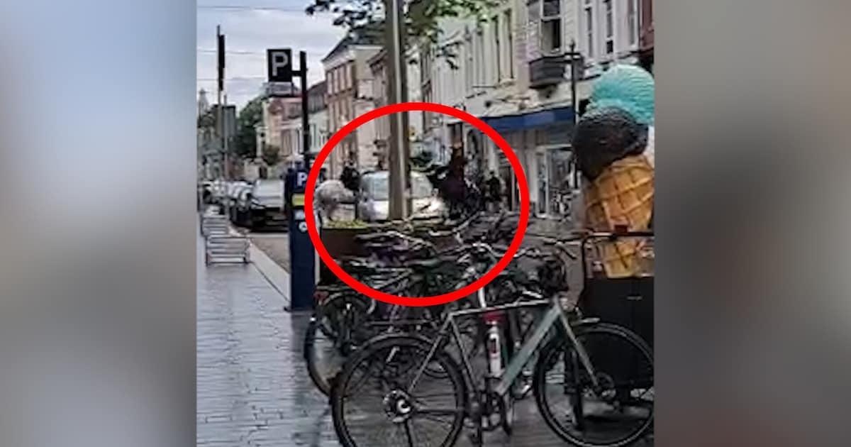 Politiepaard kreupel na aanrijding in Bossche binnenstad.