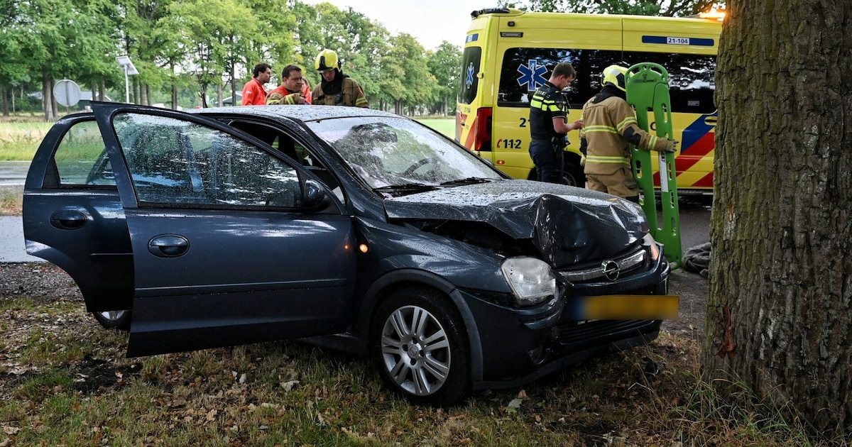 Vrouw raakt gewond bij botsing tegen boom op N65 bij Vught.