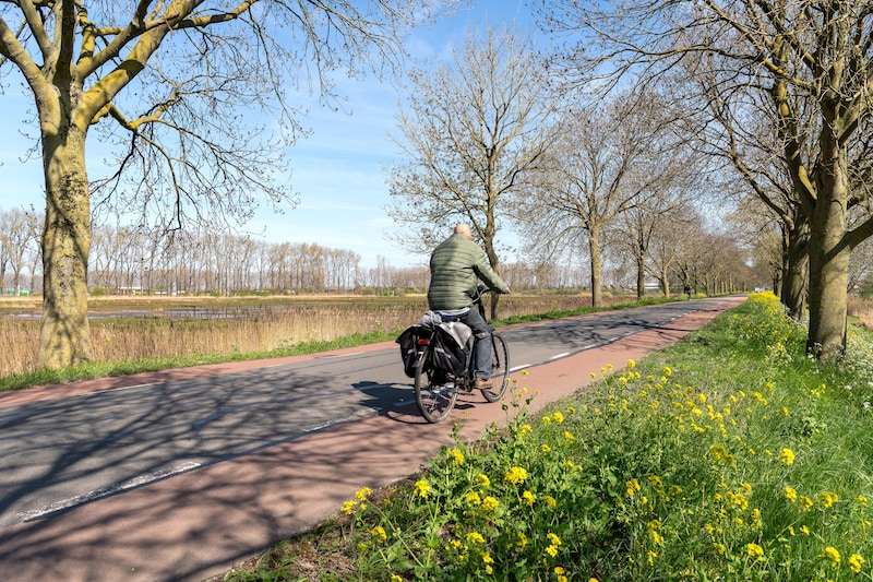 Waarom Waalwijk ambitieus blijft: dit zijn de plannen voor 2026 | Regio ...