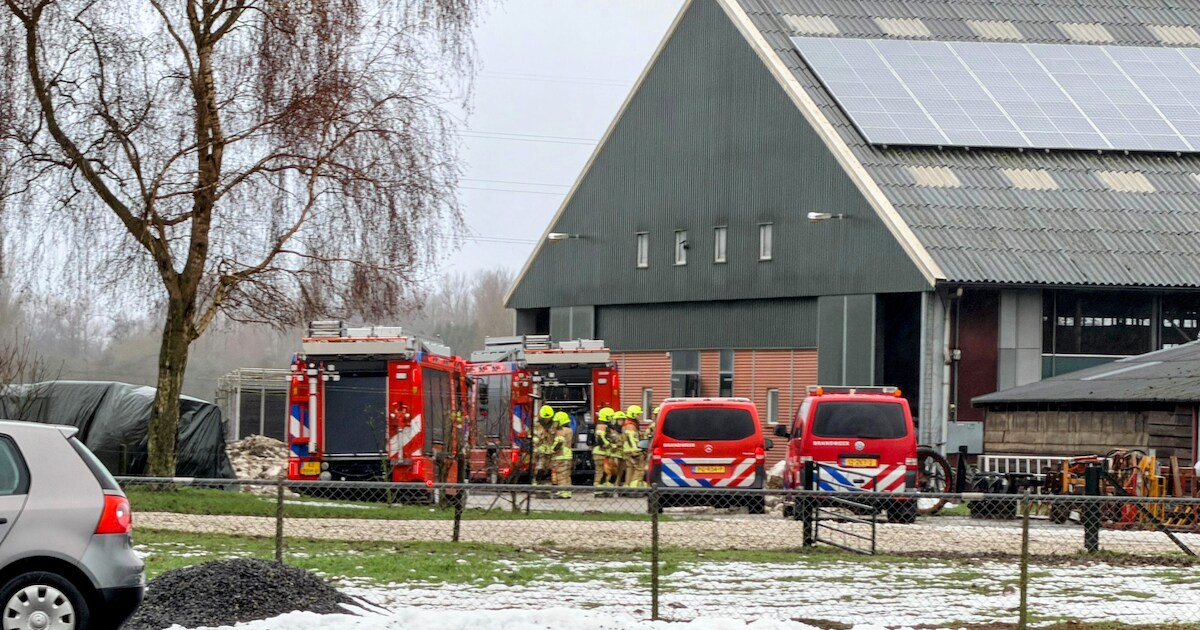 Brand in mestopslag bij boerderij in Kapel-Avezaath