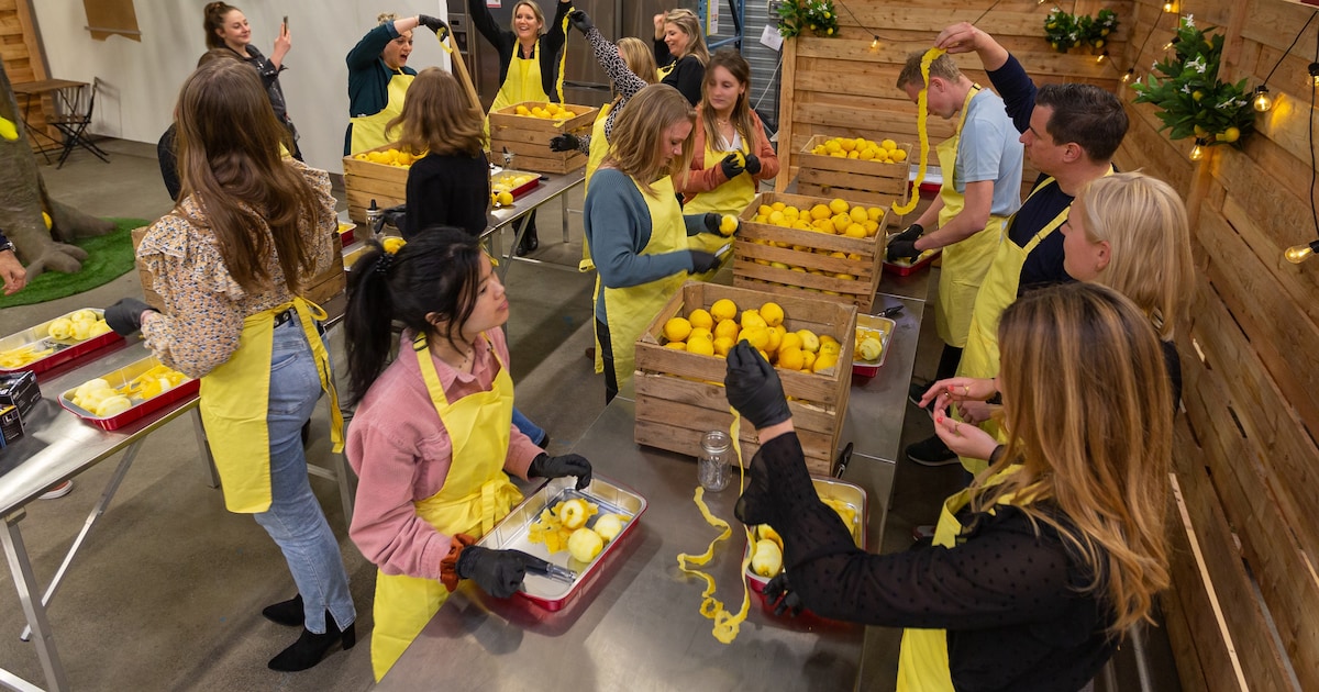 Nooit te oud om te leren: 7 x hier volg je een leuke workshop in Breda