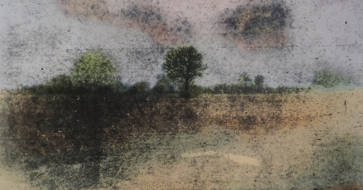 Expositie Wil Friesen in Wijchen verkent mysterie in landschap