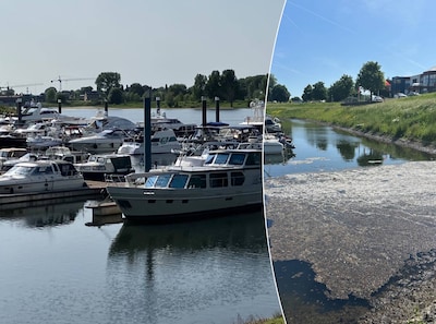 Waar komt die bruine drab in de Lithse Ham vandaan? ‘Ik heb 