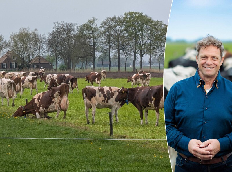 Rabobank: Nog jaren stilstand? Dat brengt heel veel boeren in de ...