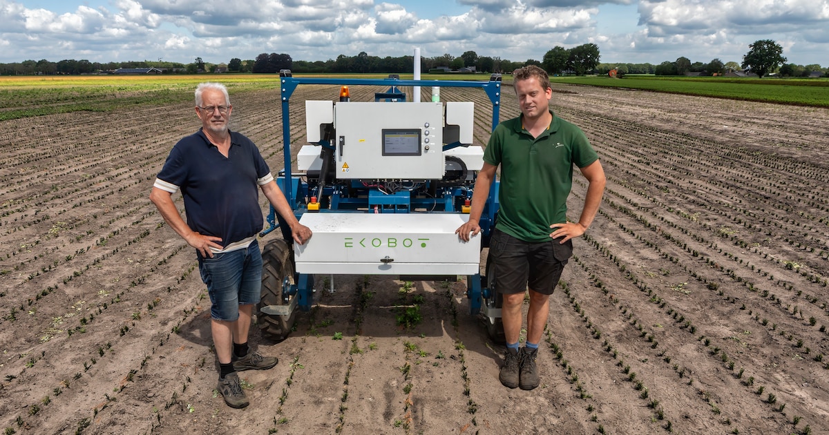Kweker test onkruidrobot van 175.000 euro terwijl verbod op chemische middelen nadert