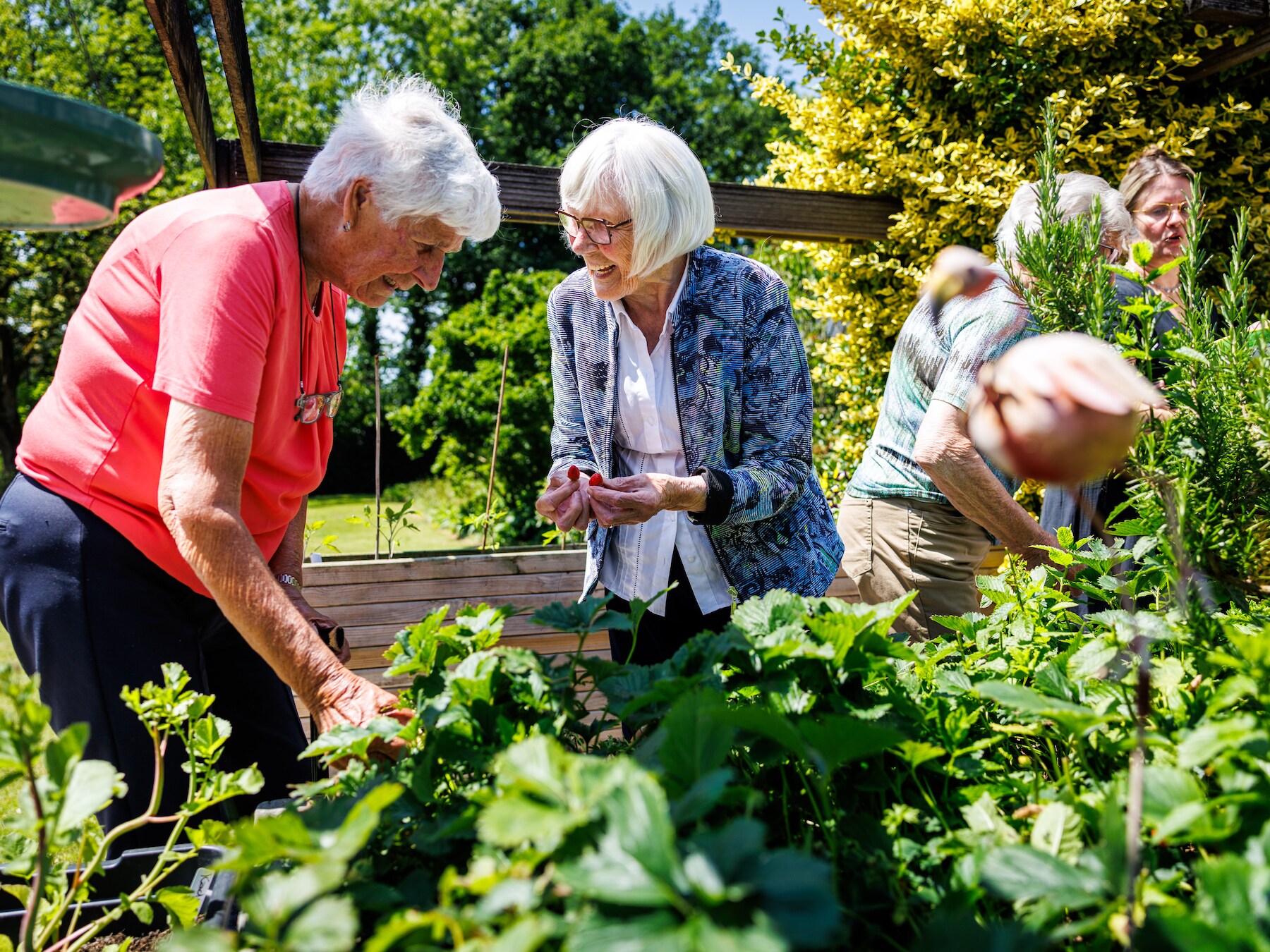 Onderzoek in Hilvarenbeek laat zien: dit zijn tips om mensen met dementie langer thuis te laten wonen