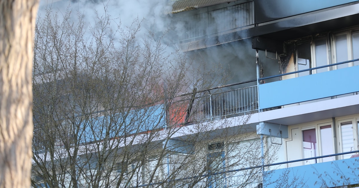 Teruglezen: grote flatbrand in Bergen op Zoom onder controle, zwaargewonde bewoner wordt verdacht va