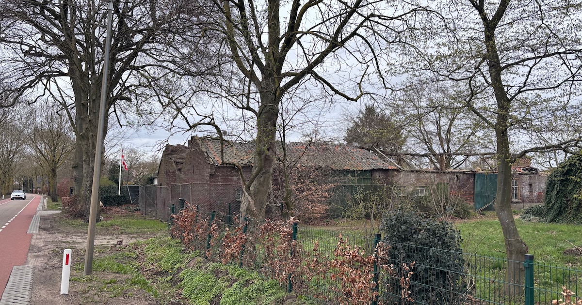 Eigenaar kan ‘rotte kies’-boerderij Duifhuizerweg gaan opknappen
