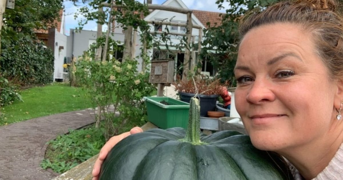 Bezoek de moestuin van Nicolle in Geldrop en leer alles over ecologisch tuinieren