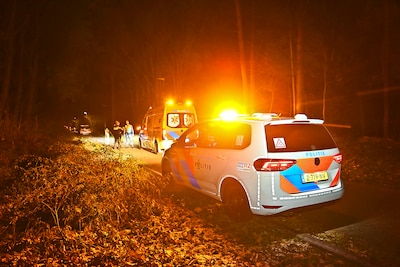 Man verdacht van mishandeling raakt gewond nadat politiehond hem opspoort in bossen in Waalre