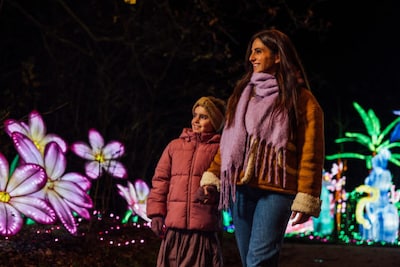Light Safari keert terug bij Beekse Bergen