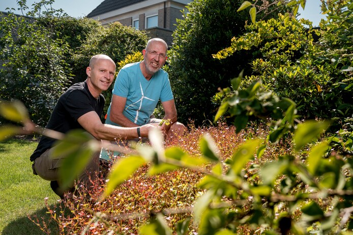 Jac wil méér leven in achtertuin: ‘Vlinders, bijen, vogels, ik mis ze ...