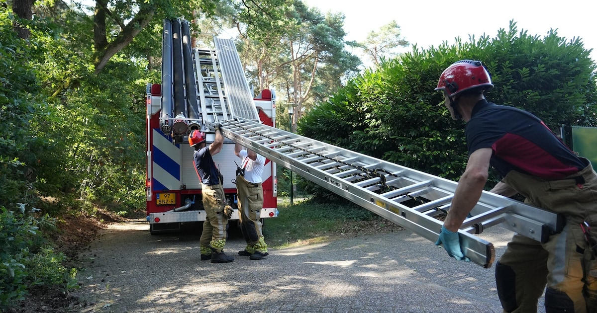 Boomverzorger zit vast in boom in Alphen en moet door brandweer worden gered