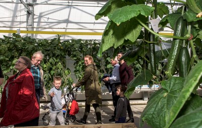 Van aardbeien tot komkommers: Boekelse tuinders doen mee aan Kom in de Kas