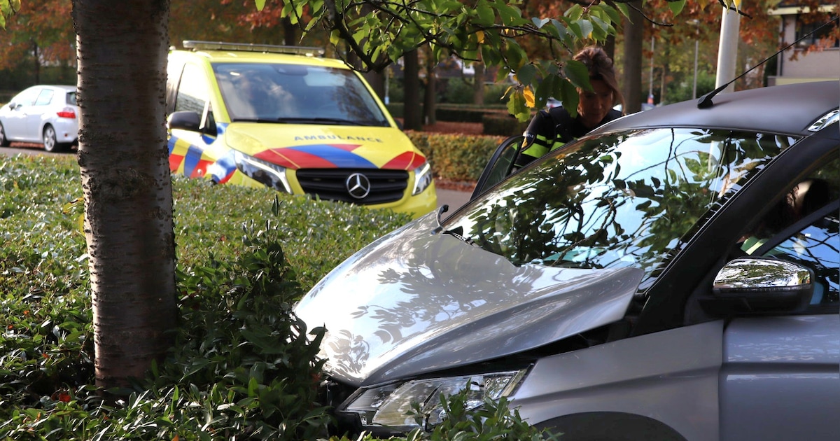 Brommobiel rijdt haag in in Drunen, bestuurder herinnert zich niets