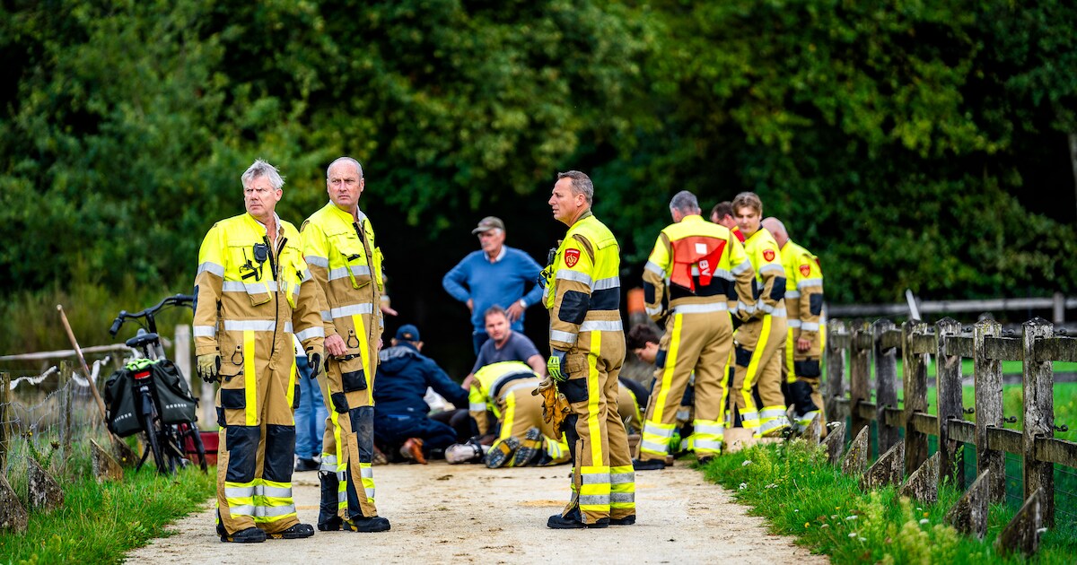 Zondagsritje eindigt in drama, paard Abby zakt in elkaar en ruiter Sven (19) raakt bekneld: ‘Hadden 