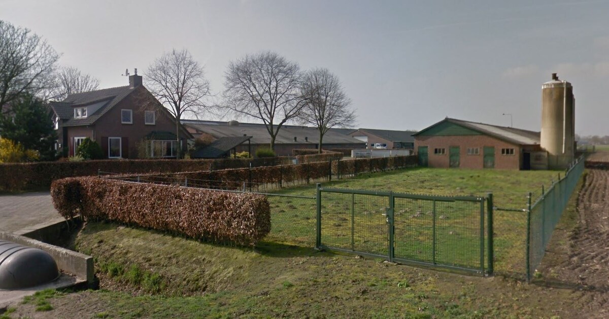 Varkenshouder in Moergestel wil verder met zonnepark en akkerbouw: ‘Stal eraf, zon erop’