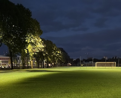 Gemeente gaat om: bomen langs velden vv Brabantia krijgen toch een snoeibeurt