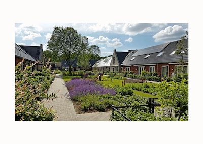 Knarrenhof hoopt na acht jaar zoeken opnieuw op plek Wipakker Etten-Leur: ‘Het is zo onderhand wel e