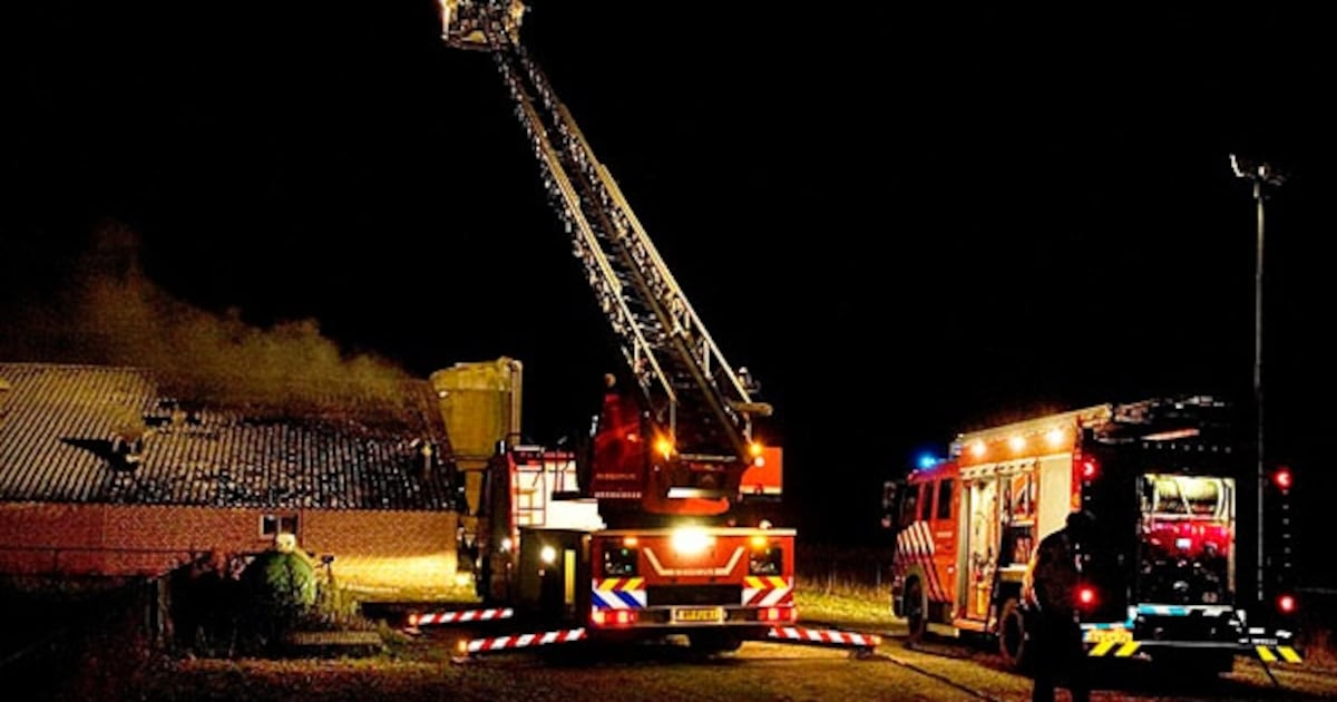 Varkens omgekomen bij brand Odiliapeel