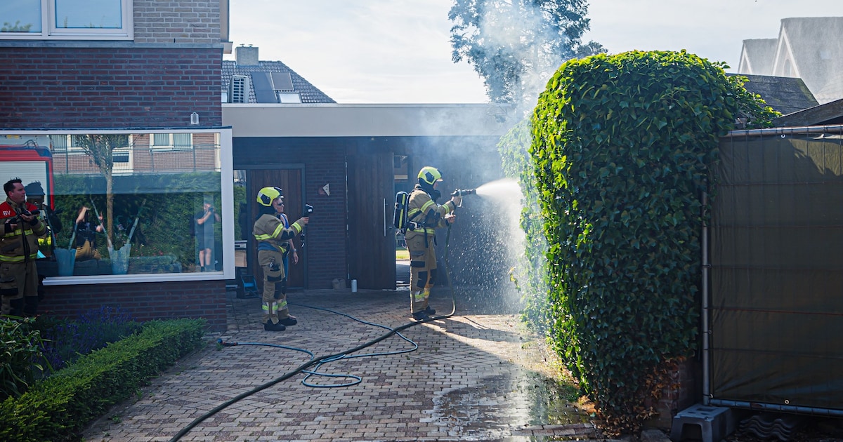 Heg vliegt in brand na verbranden van onkruid in Sint-Michielsgestel, bewoonster grijpt snel in