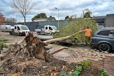 Eerste boom waait op auto in Tilburg, nog voor ingaan van code geel: stoep bezaaid met bakstenen