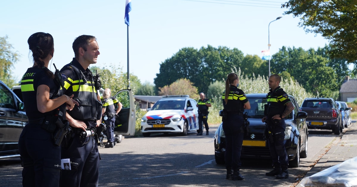 Zwarte Audi in beslag genomen en twee mensen opgepakt: meer aanhoudingen voor bekladdingen in Engele