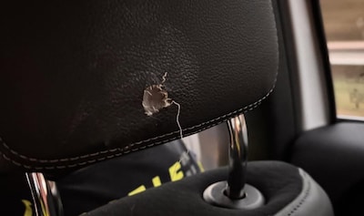 Man (26) aangehouden in Heeze, bijt in hoofdsteun en portier politieauto