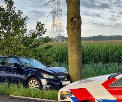 Rijbewijs afgenomen nadat automobilist onder invloed tegen boom rijdt
