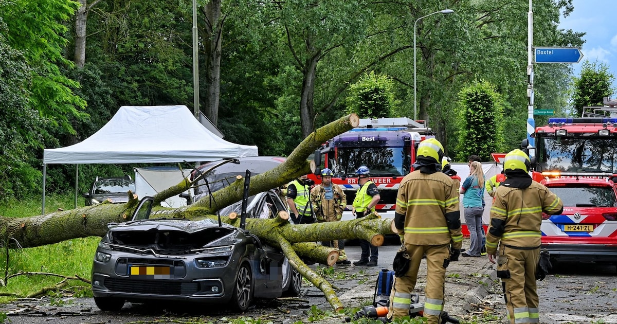 Bestuurder (45) overleden nadat boom op auto valt in Boxtel