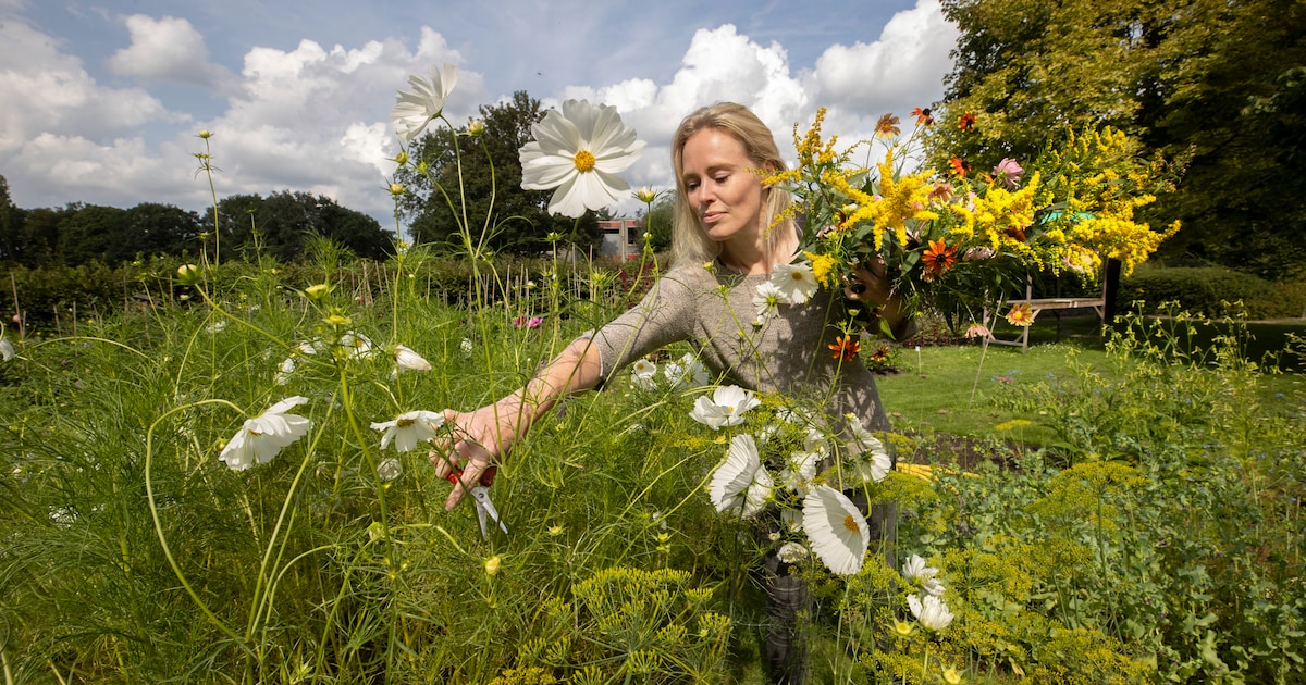 Bloemenpluktuin zorgt voor verbinding op Eikenburg | Regio | BD.nl